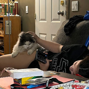 Meet your Posher, Trinity